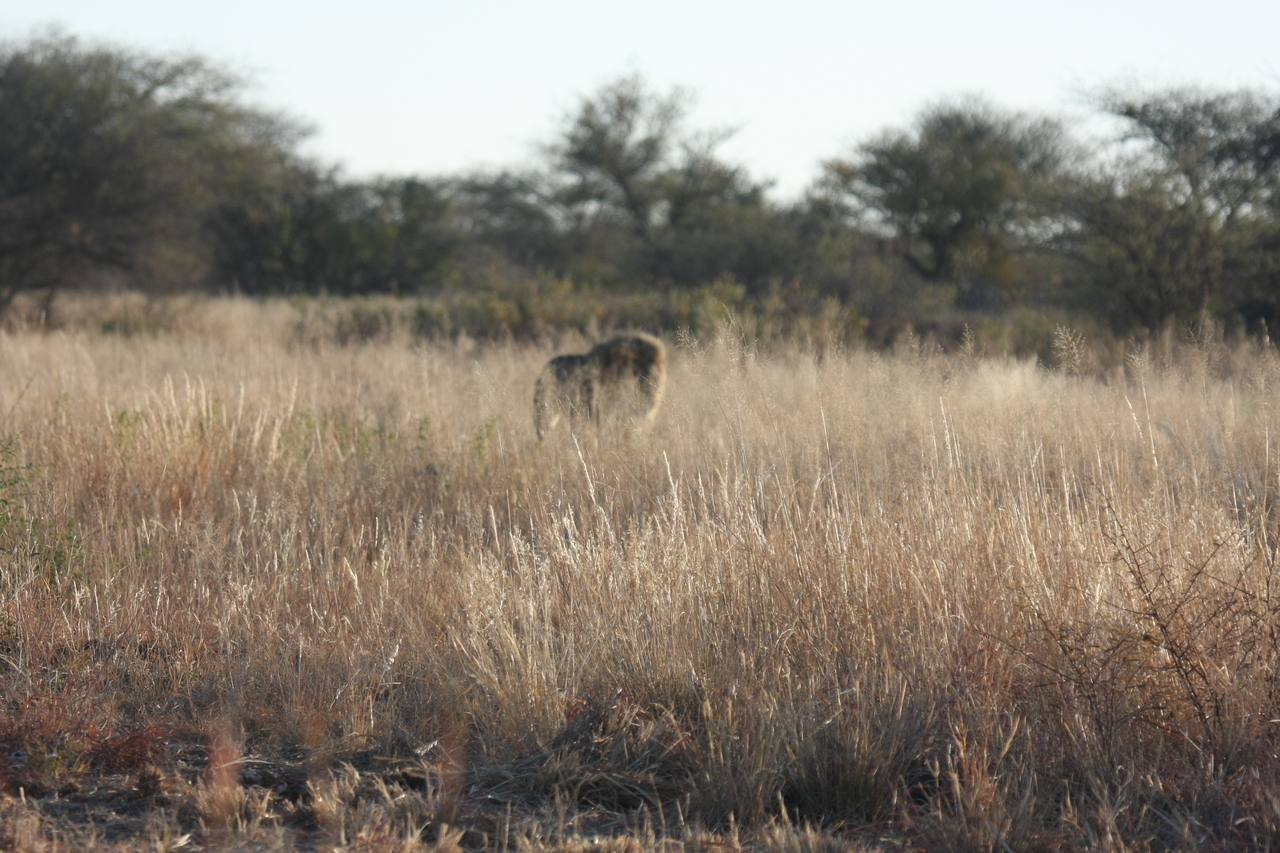 [7256] 2016_06_23_11_39_04_Africa_Canon_EOS_40D_IMG__01464.jpg