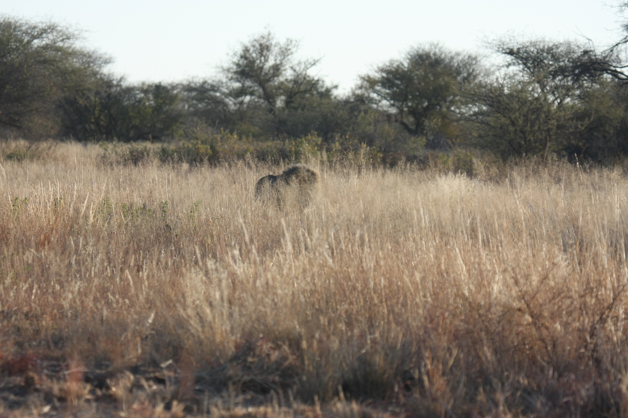[7260] 2016_06_23_11_39_05_Africa_Canon_EOS_40D_IMG__00631.jpg