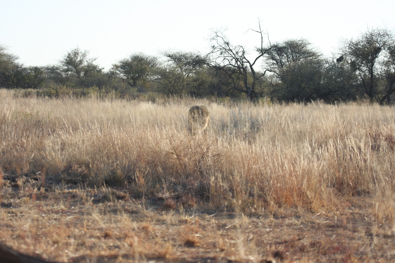 [7280] 2016_06_23_11_39_13_Africa_Canon_EOS_40D_IMG__08918.jpg
