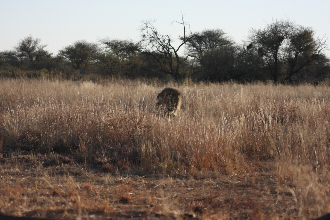 [7284] 2016_06_23_11_39_16_Africa_Canon_EOS_40D_IMG__01472.jpg