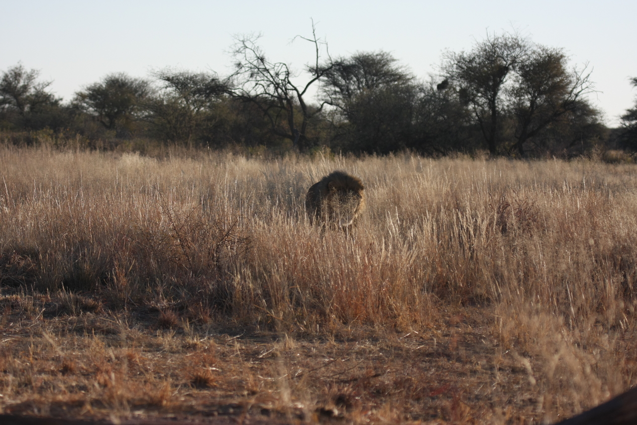 [7290] 2016_06_23_11_39_17_Africa_Canon_EOS_40D_IMG__00641.jpg