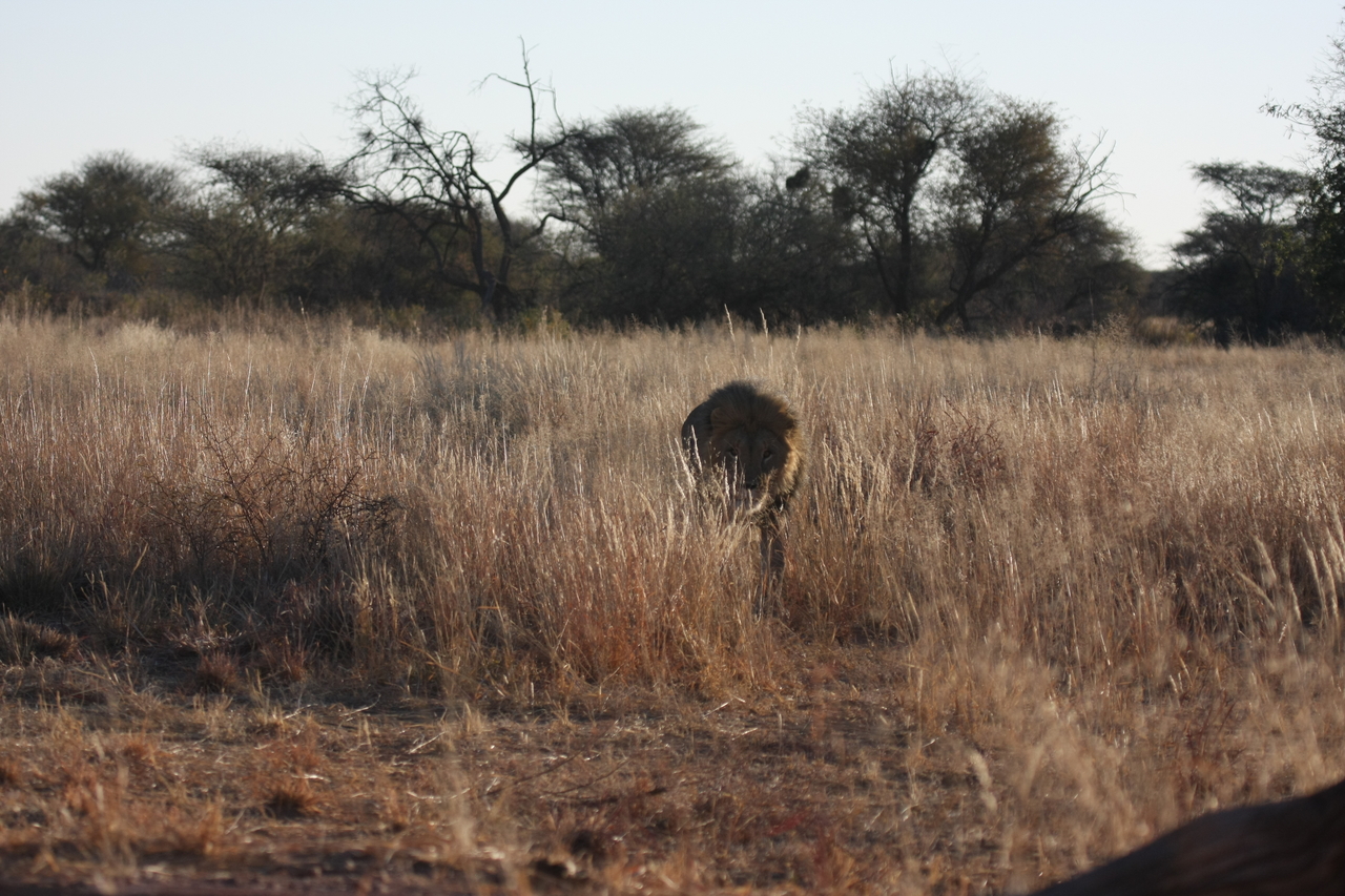 [7296] 2016_06_23_11_39_18_Africa_Canon_EOS_40D_IMG__00643.jpg