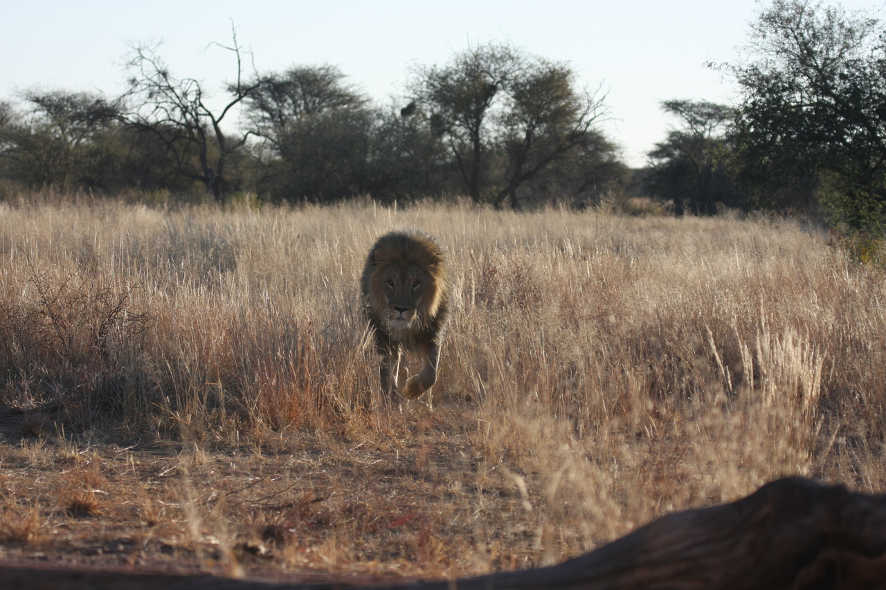 [7302] 2016_06_23_11_39_20_Africa_Canon_EOS_40D_IMG__01478.jpg