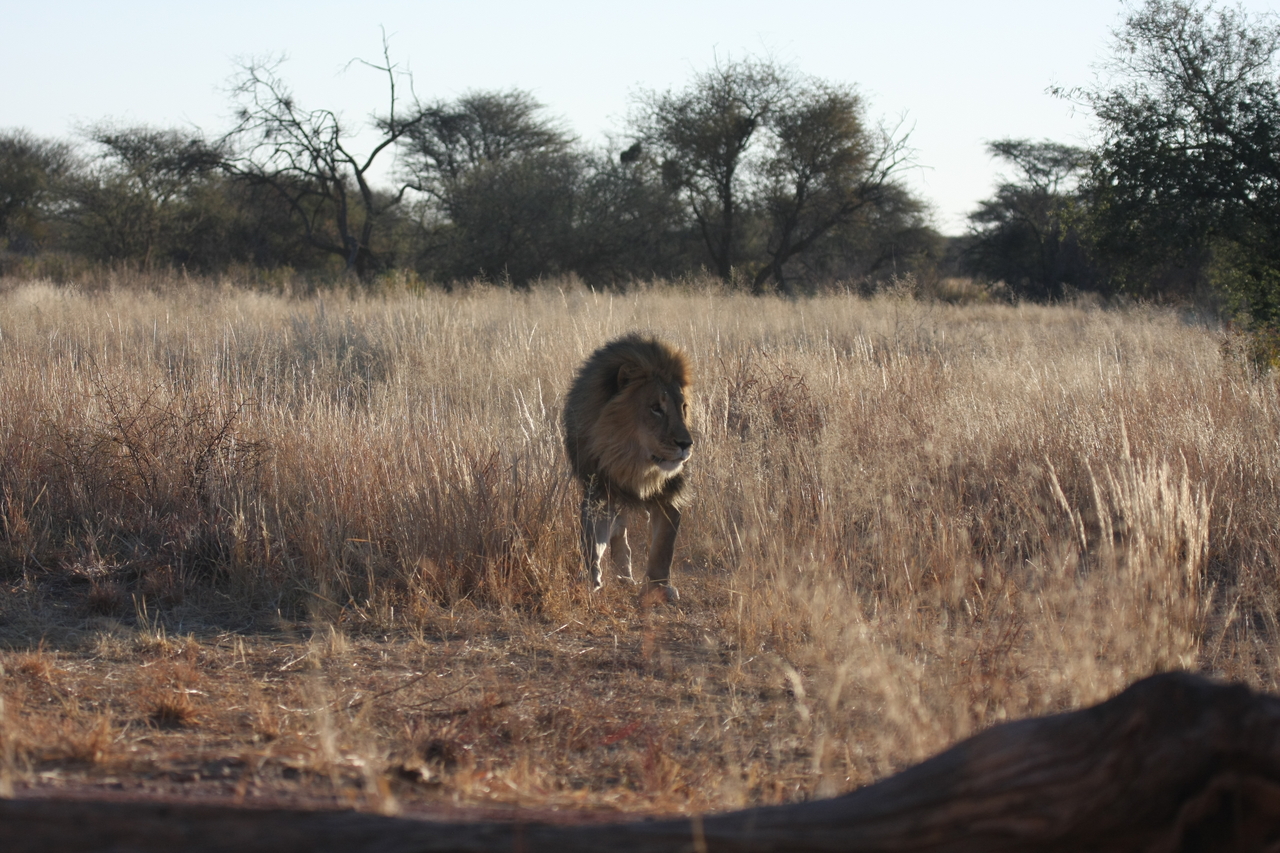 [7304] 2016_06_23_11_39_20_Africa_Canon_EOS_40D_IMG__01480.jpg