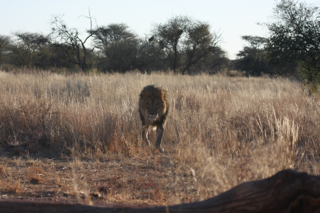 [7306] 2016_06_23_11_39_20_Africa_Canon_EOS_40D_IMG__08926.jpg
