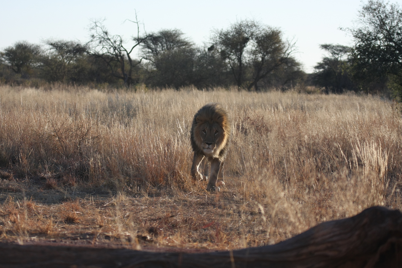 [7313] 2016_06_23_11_39_21_Africa_Canon_EOS_40D_IMG__08929.jpg