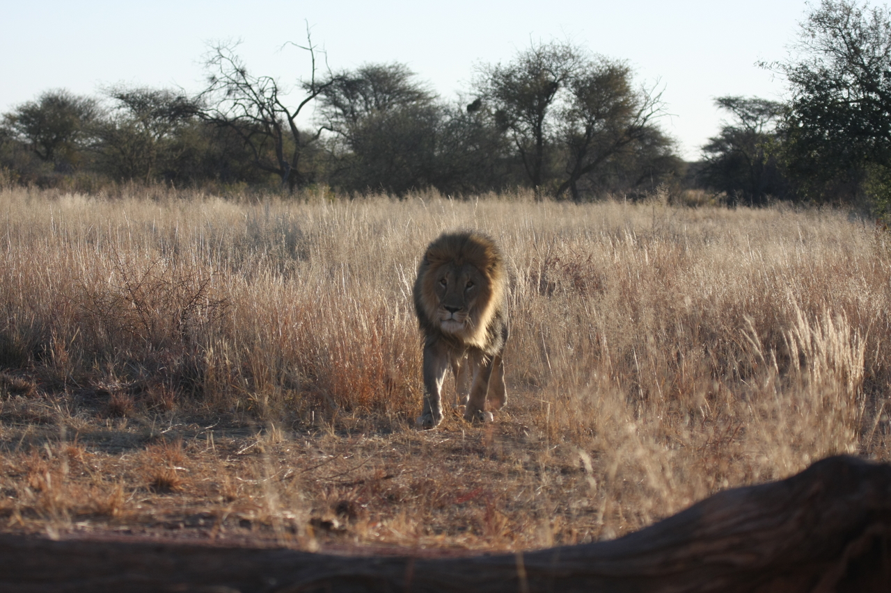 [7314] 2016_06_23_11_39_22_Africa_Canon_EOS_40D_IMG__00649.jpg