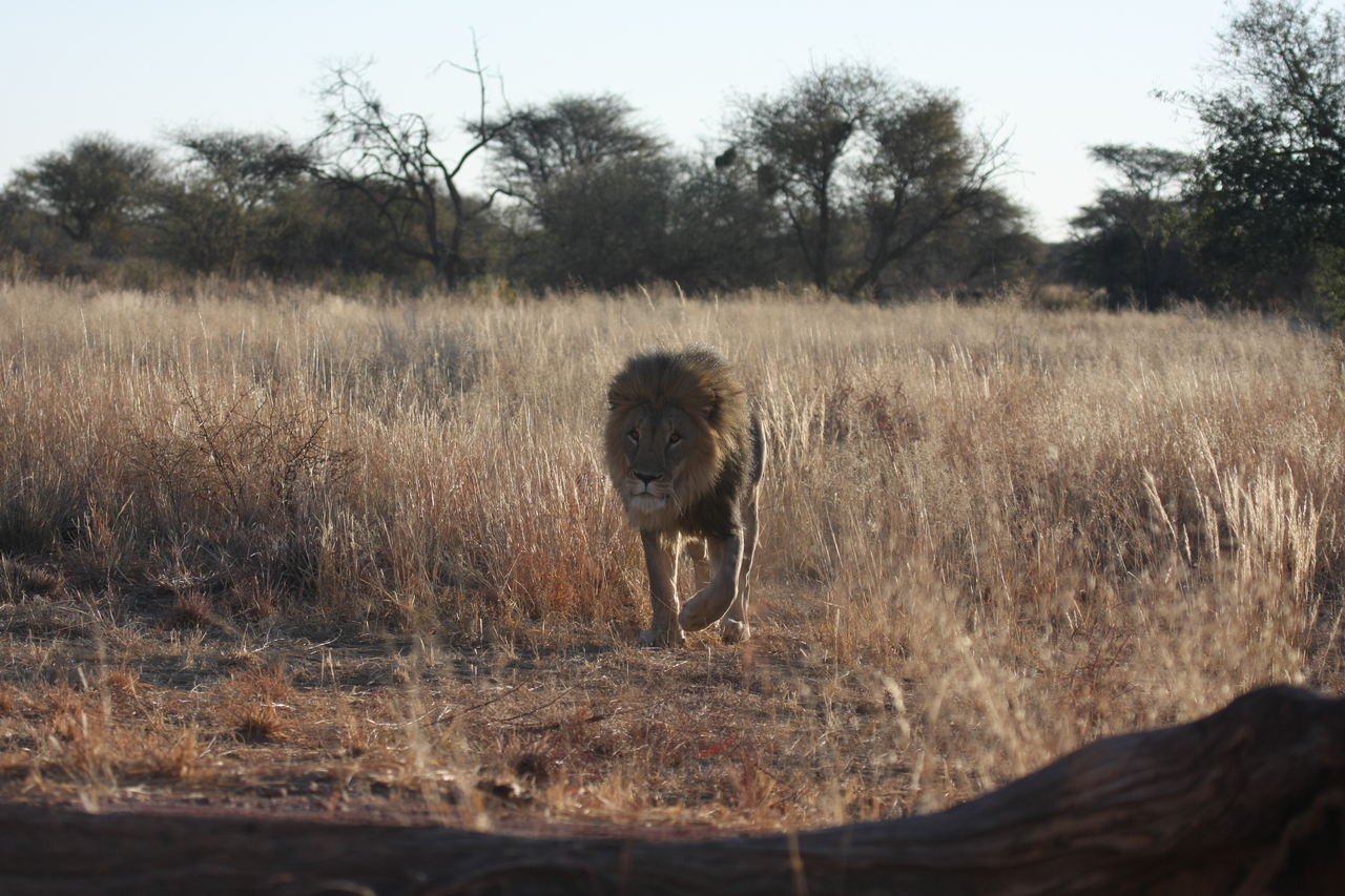 [7315] 2016_06_23_11_39_22_Africa_Canon_EOS_40D_IMG__00650.jpg