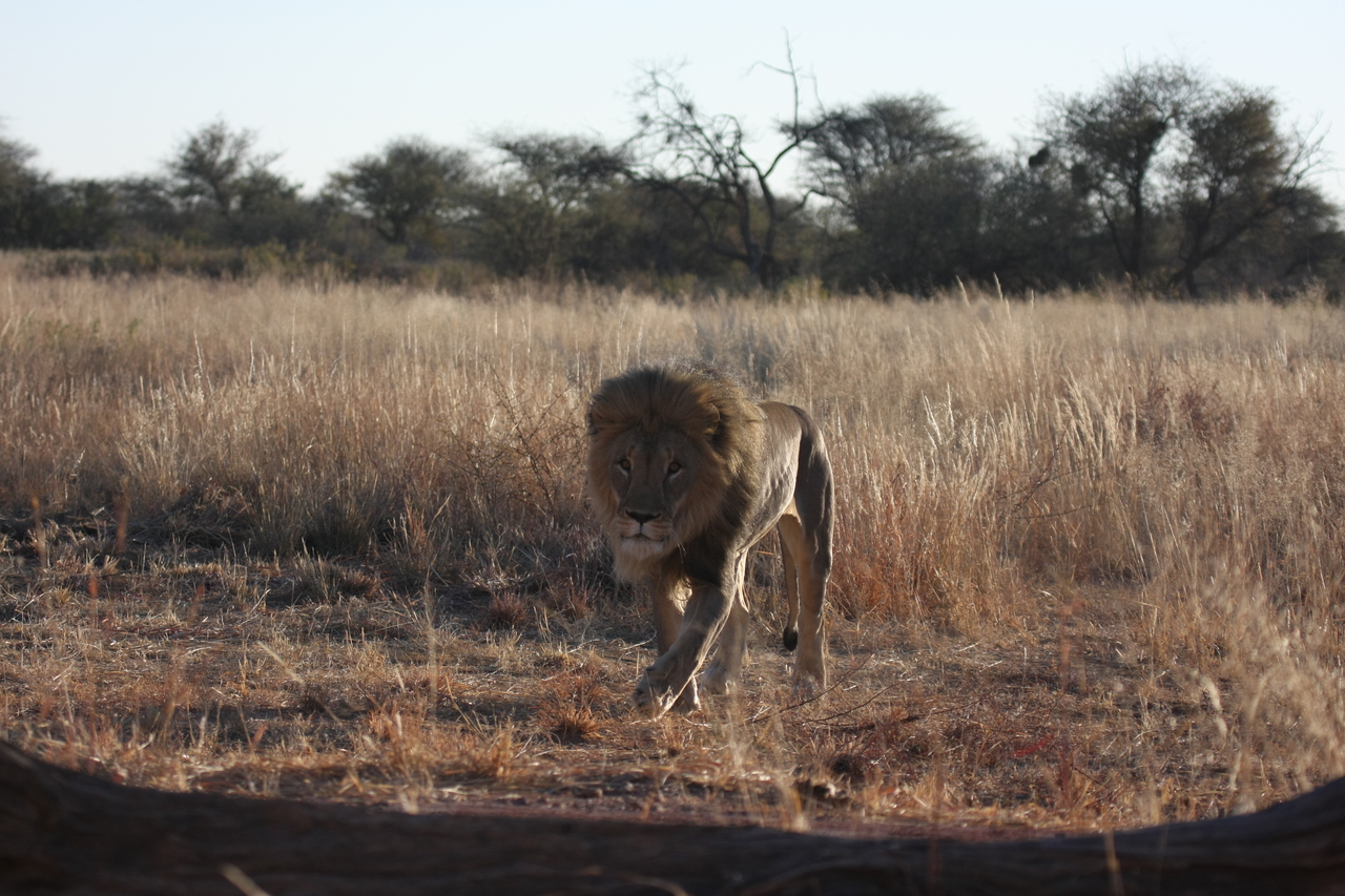 [7323] 2016_06_23_11_39_23_Africa_Canon_EOS_40D_IMG__00652.jpg