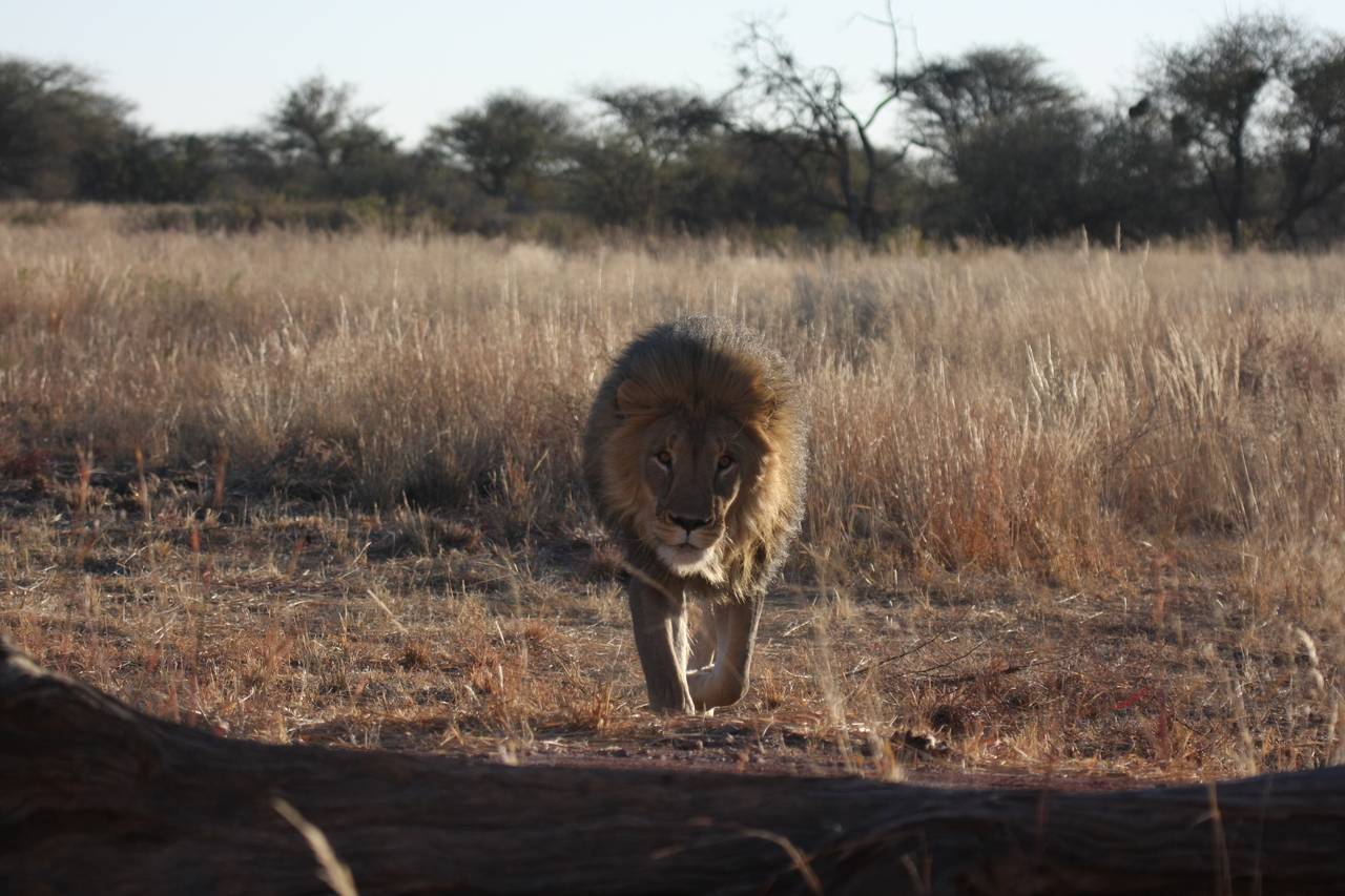 [7328] 2016_06_23_11_39_24_Africa_Canon_EOS_40D_IMG__00655.jpg