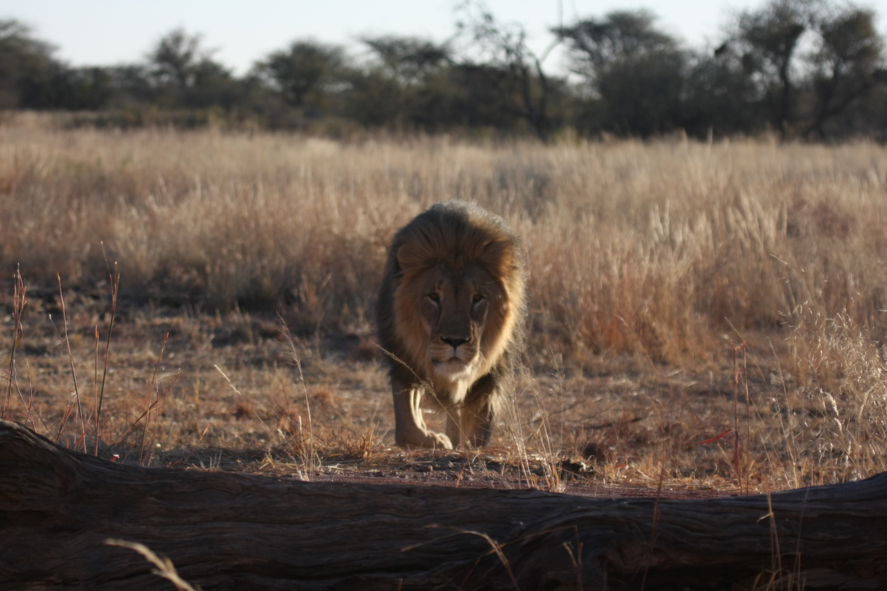 [7338] 2016_06_23_11_39_25_Africa_Canon_EOS_40D_IMG__01490.jpg