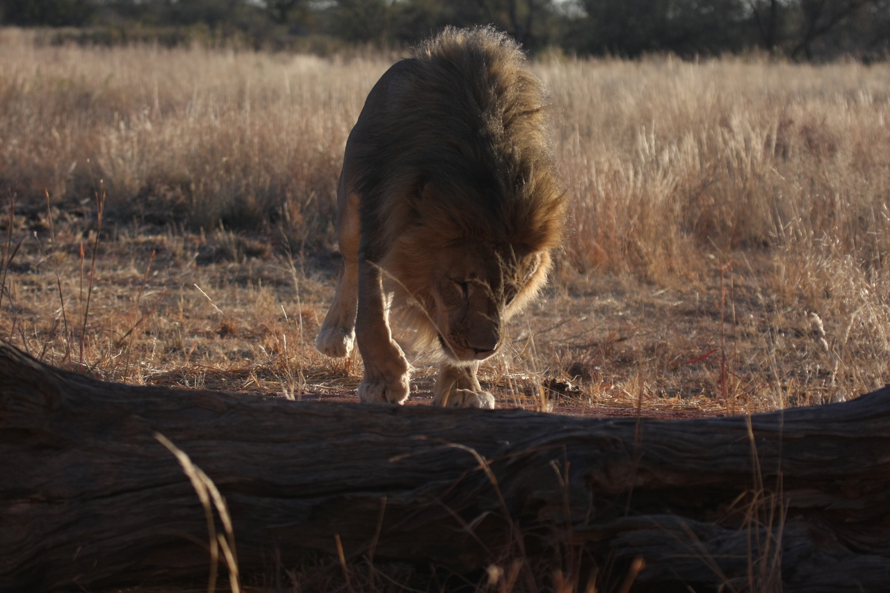 [7346] 2016_06_23_11_39_26_Africa_Canon_EOS_40D_IMG__01493.jpg