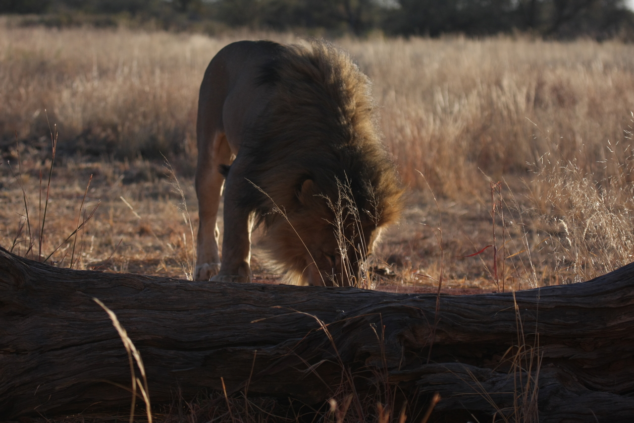 [7347] 2016_06_23_11_39_26_Africa_Canon_EOS_40D_IMG__01494.jpg