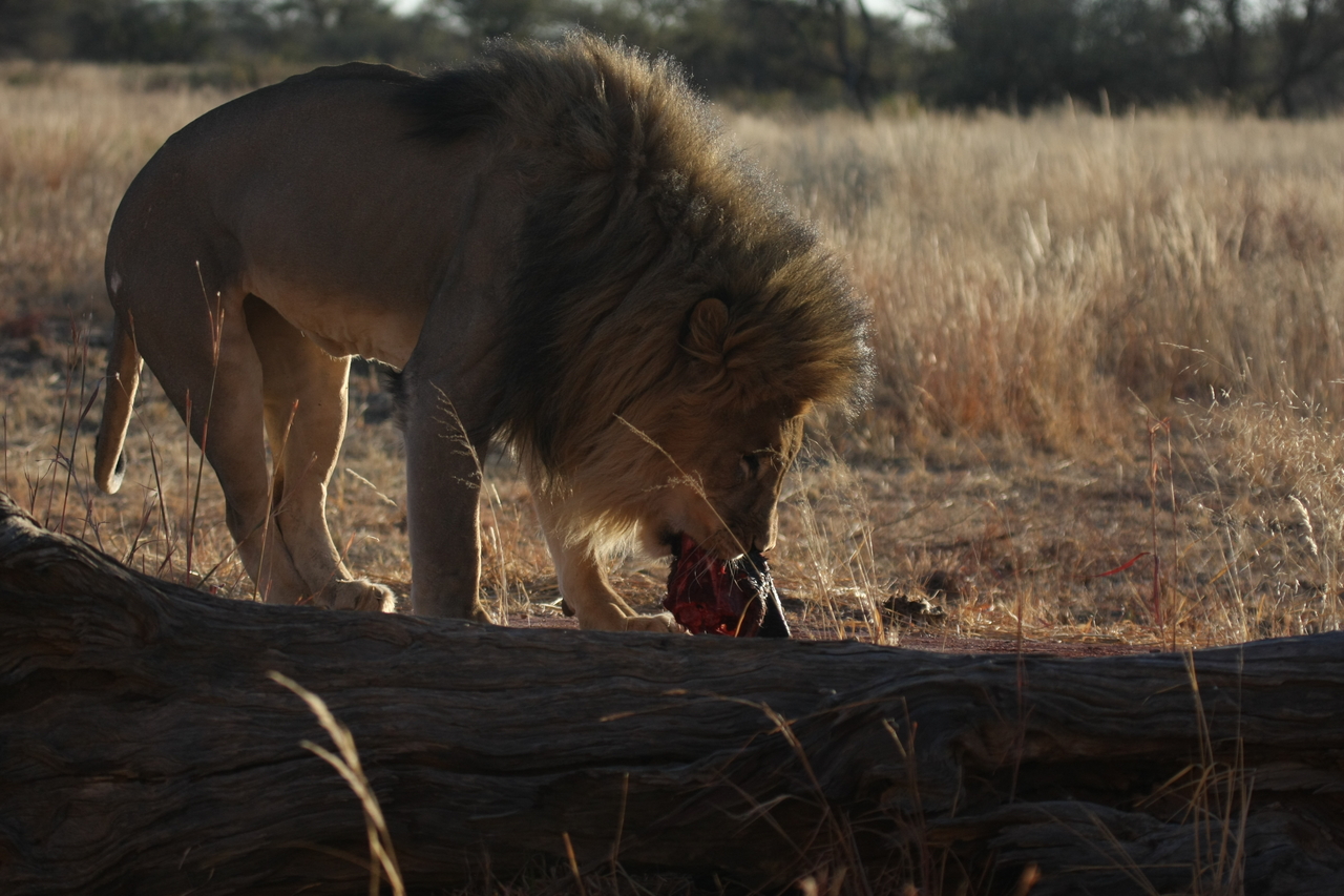 [7355] 2016_06_23_11_39_28_Africa_Canon_EOS_40D_IMG__08943.jpg