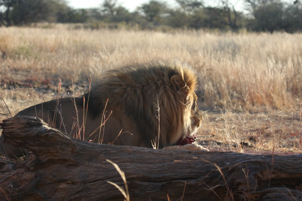 [7367] 2016_06_23_11_39_35_Africa_Canon_EOS_40D_IMG__08947.jpg