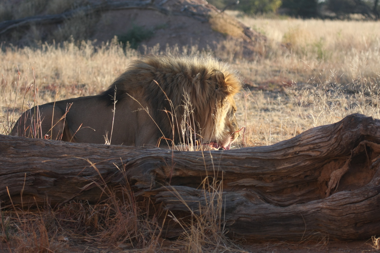 [7375] 2016_06_23_11_39_51_Africa_Canon_EOS_40D_IMG__08949.jpg