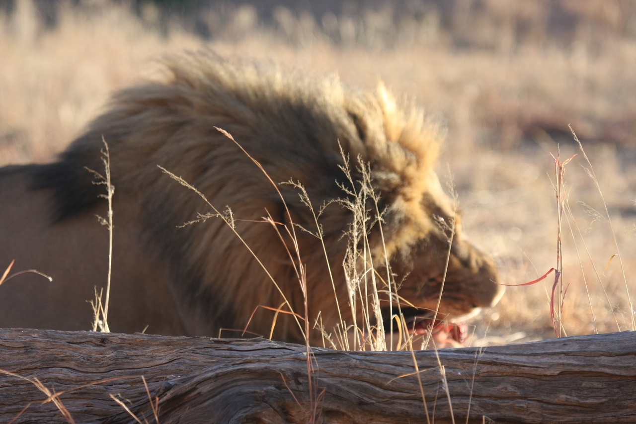 [7377] 2016_06_23_11_40_05_Africa_Canon_EOS_40D_IMG__00670.jpg