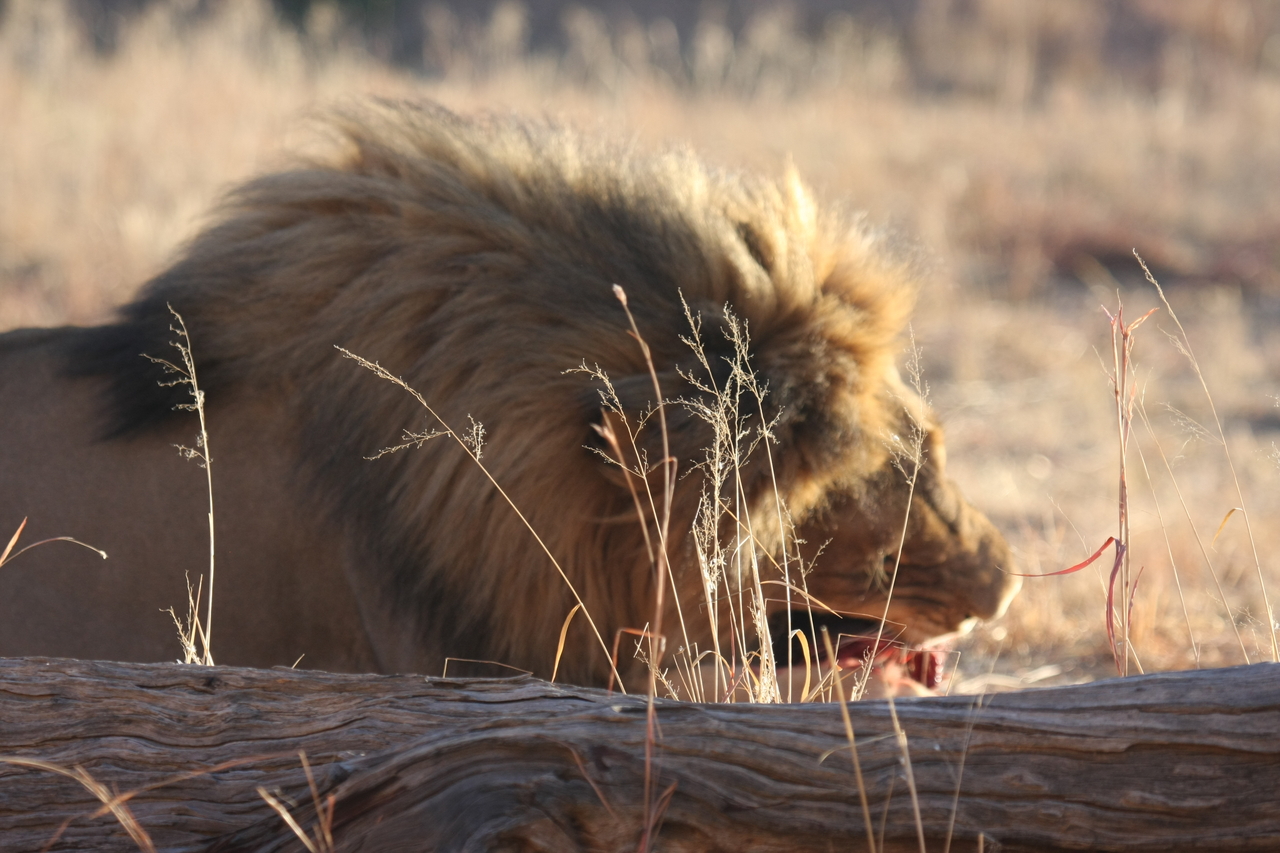 [7378] 2016_06_23_11_40_05_Africa_Canon_EOS_40D_IMG__00671.jpg