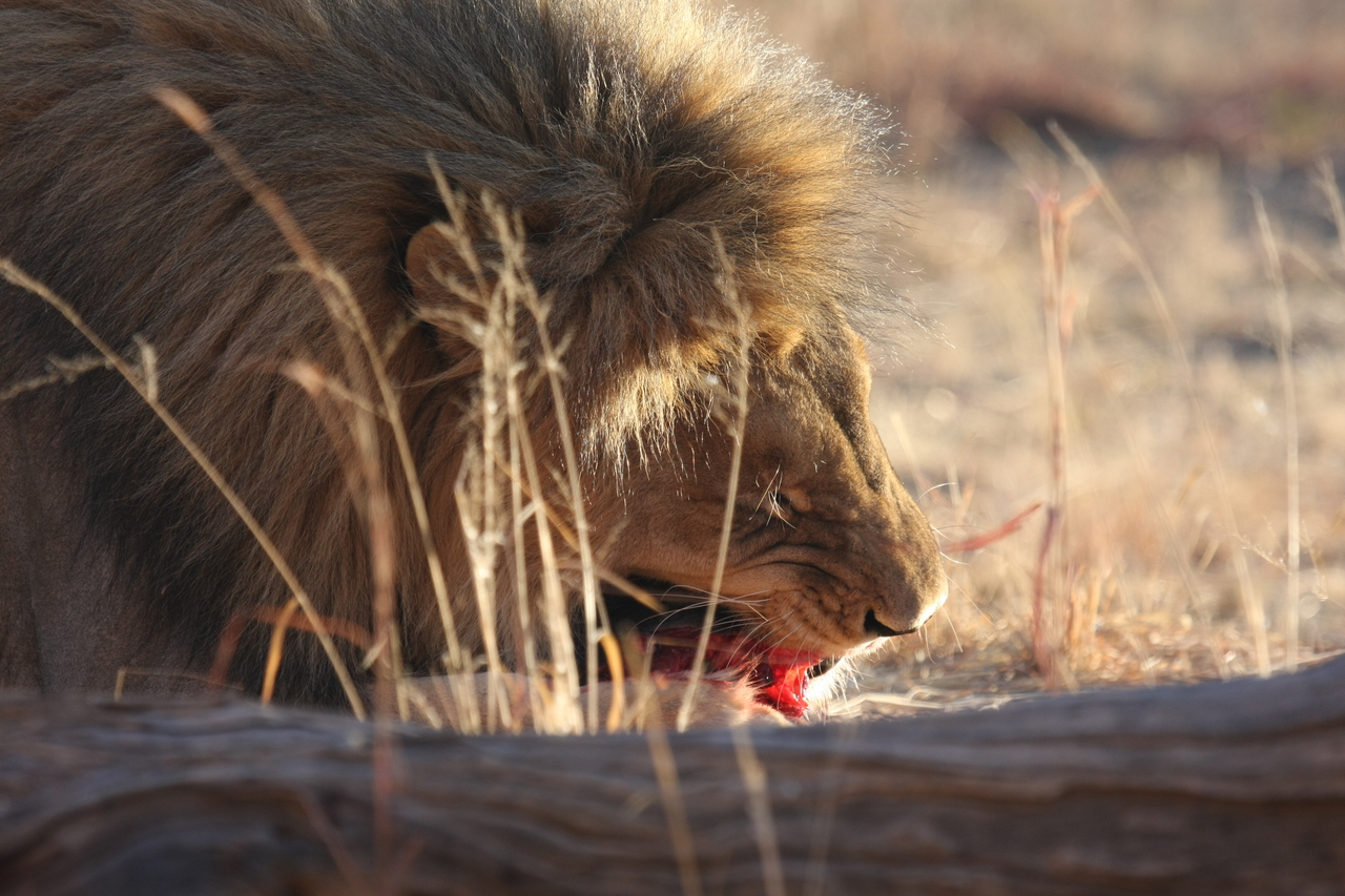 [7389] 2016_06_23_11_40_14_Africa_Canon_EOS_40D_IMG__00674.jpg