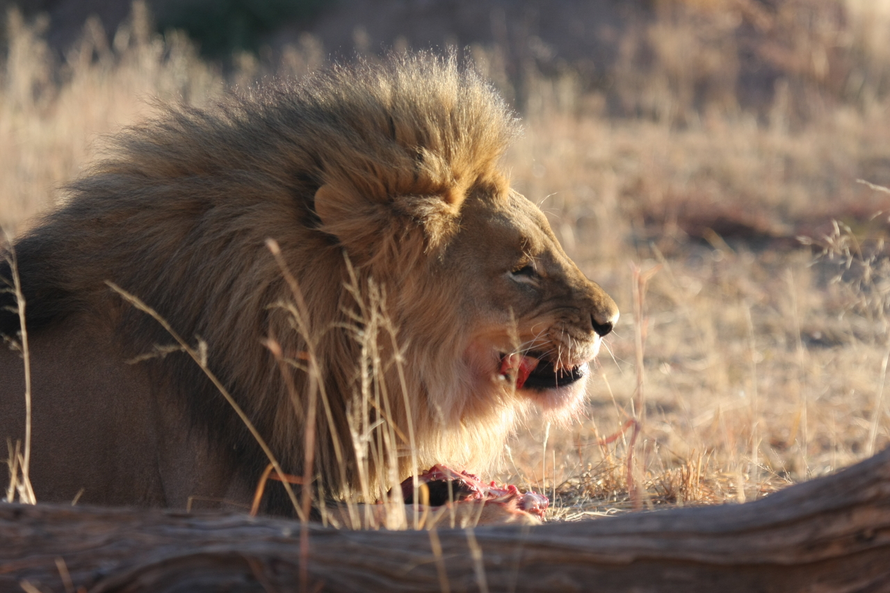 [7455] 2016_06_23_11_40_49_Africa_Canon_EOS_40D_IMG__00696.jpg