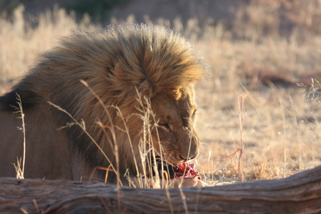 [7483] 2016_06_23_11_40_57_Africa_Canon_EOS_40D_IMG__08983.jpg