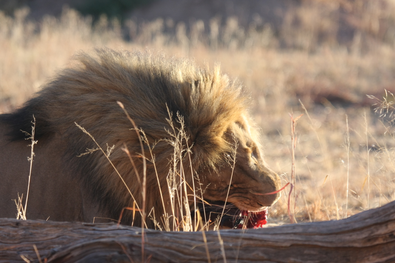 [7488] 2016_06_23_11_41_00_Africa_Canon_EOS_40D_IMG__00707.jpg