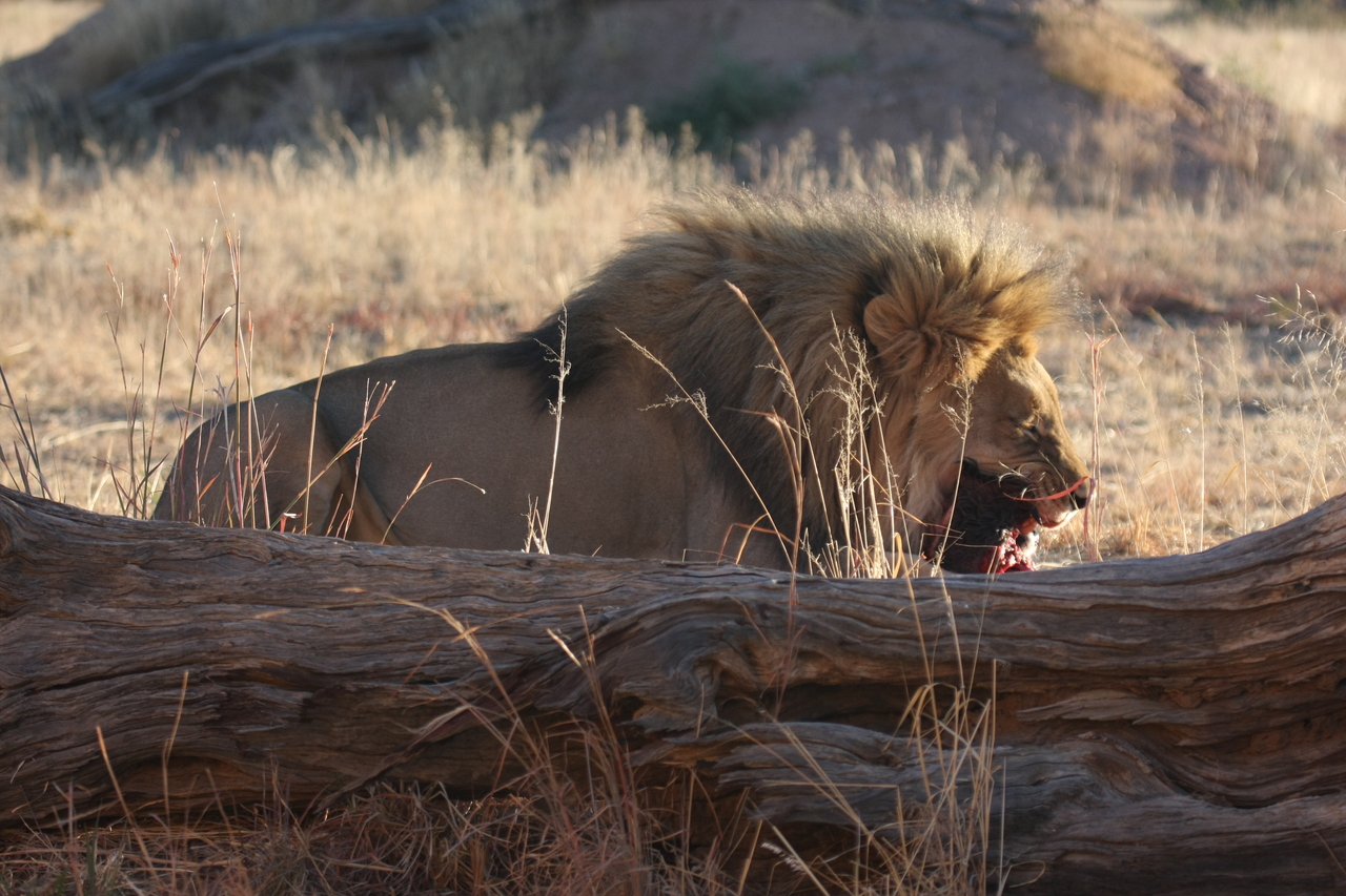 [7548] 2016_06_23_11_41_58_Africa_Canon_EOS_40D_IMG__00723.jpg