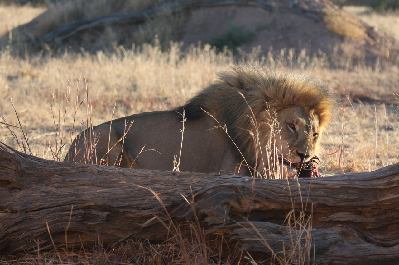 [7559] 2016_06_23_11_42_04_Africa_Canon_EOS_40D_IMG__01560.jpg