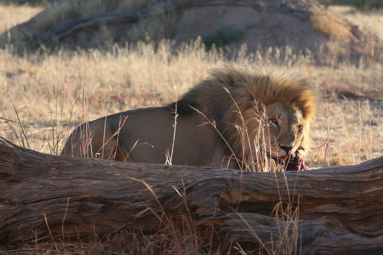 [7562] 2016_06_23_11_42_04_Africa_Canon_EOS_40D_IMG__09008.jpg
