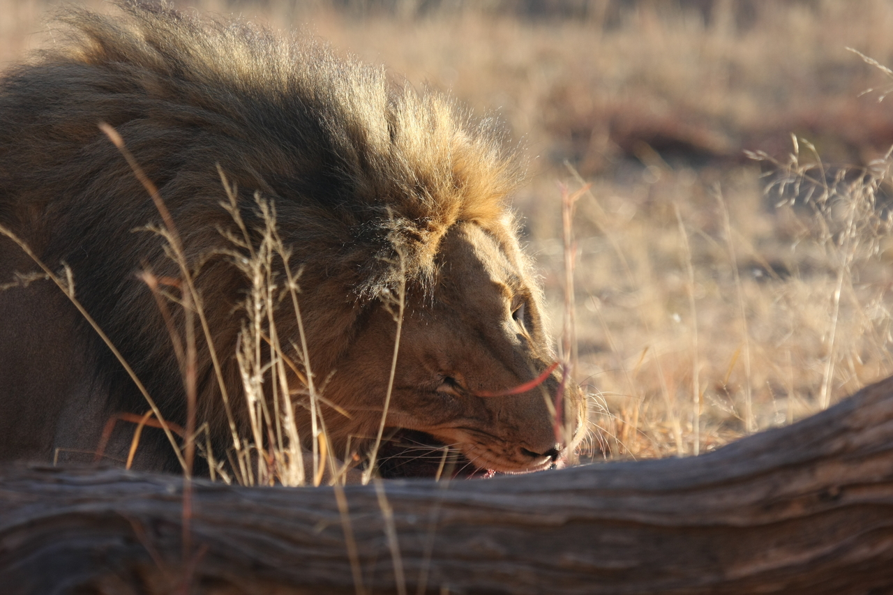 [7567] 2016_06_23_11_42_19_Africa_Canon_EOS_40D_IMG__01563.jpg