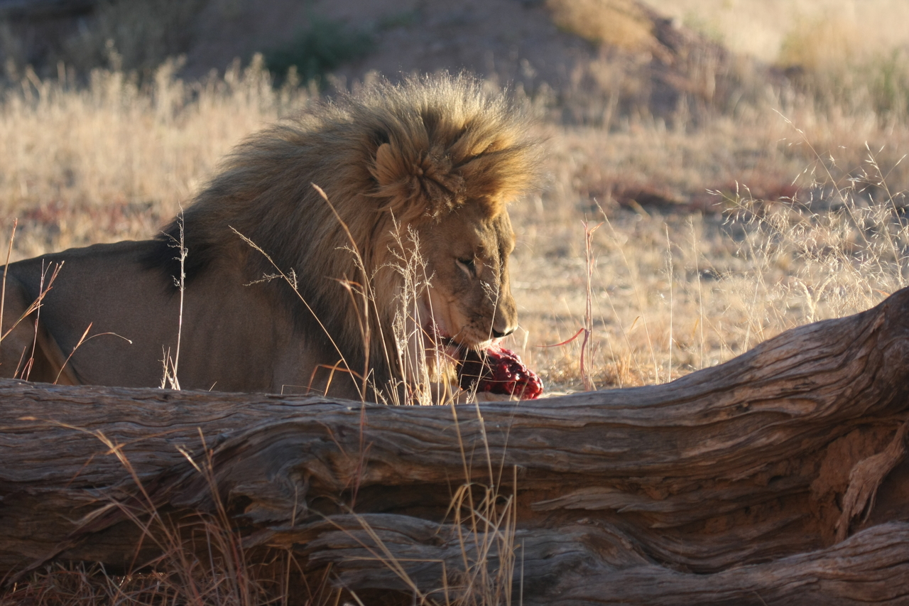 [7573] 2016_06_23_11_42_39_Africa_Canon_EOS_40D_IMG__00732.jpg
