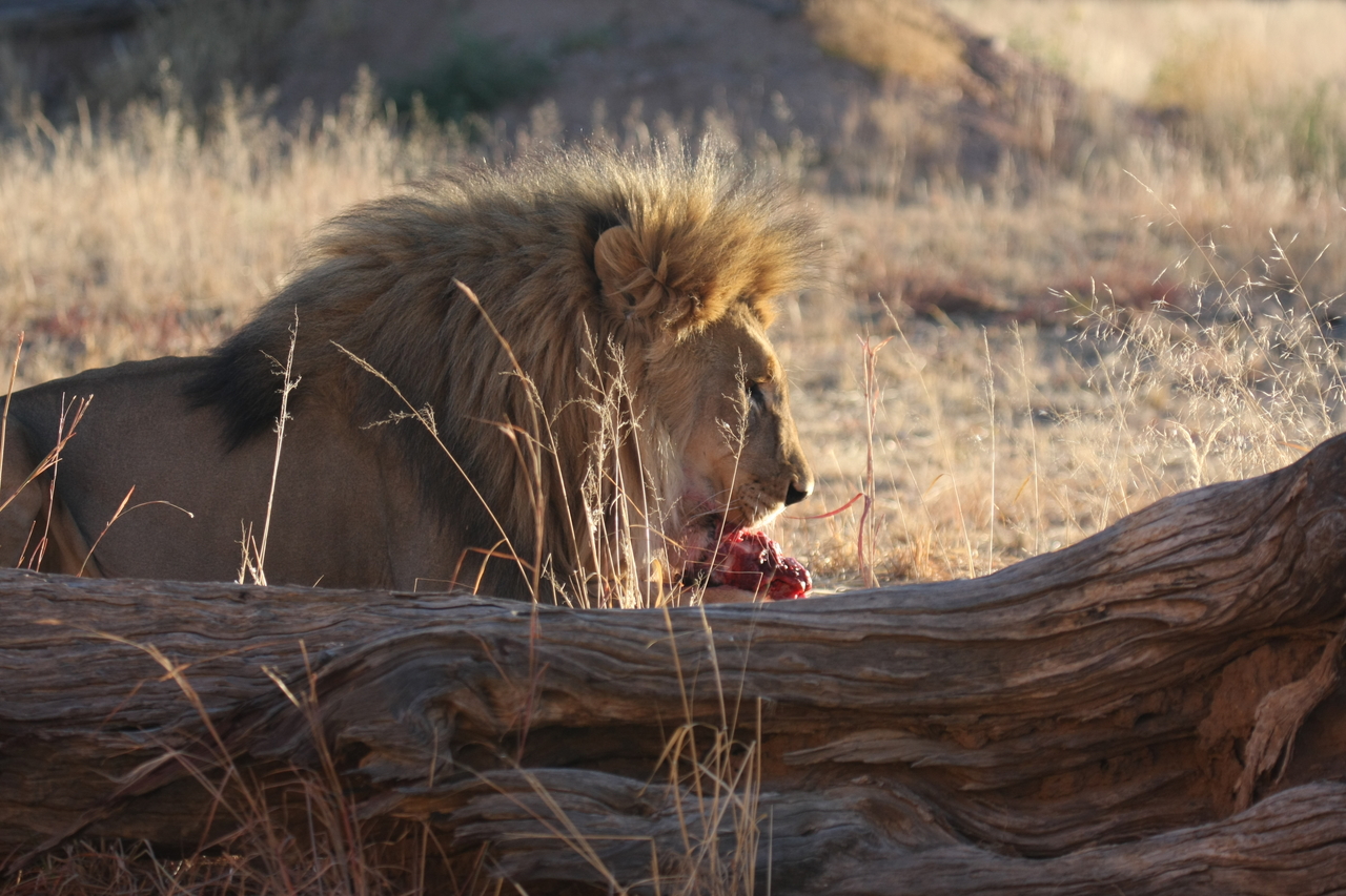 [7586] 2016_06_23_11_42_46_Africa_Canon_EOS_40D_IMG__09016.jpg