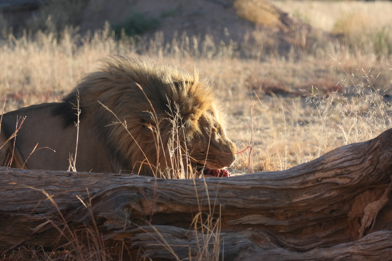 [7588] 2016_06_23_11_42_50_Africa_Canon_EOS_40D_IMG__00737.jpg