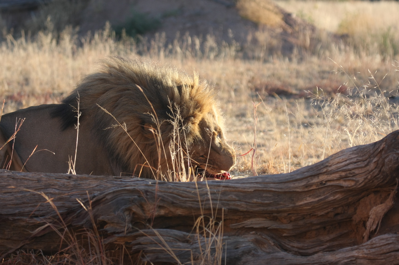 [7589] 2016_06_23_11_42_50_Africa_Canon_EOS_40D_IMG__00738.jpg