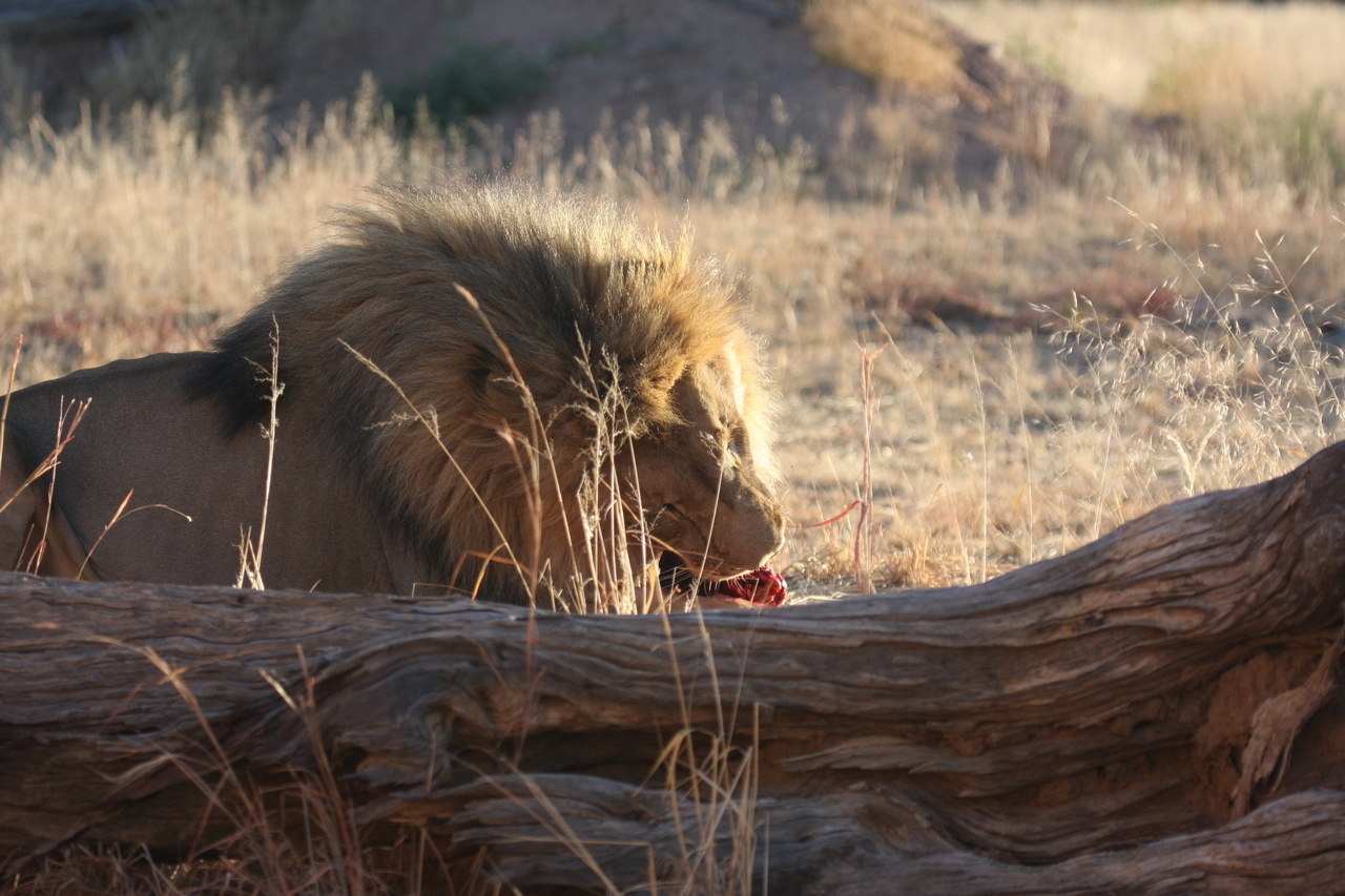 [7590] 2016_06_23_11_42_50_Africa_Canon_EOS_40D_IMG__01570.jpg