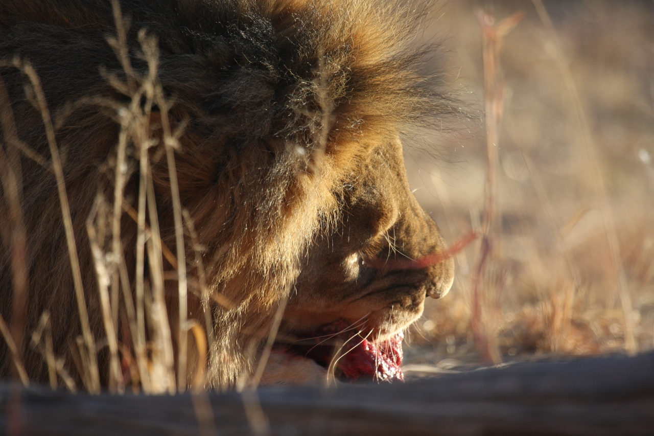 [7600] 2016_06_23_11_43_10_Africa_Canon_EOS_40D_IMG__01574.jpg