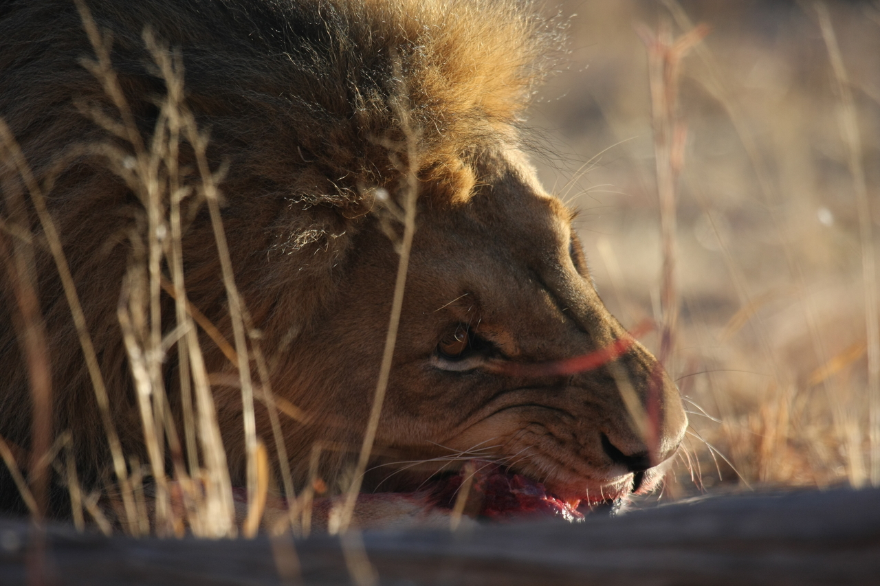 [7609] 2016_06_23_11_43_13_Africa_Canon_EOS_40D_IMG__01577.jpg