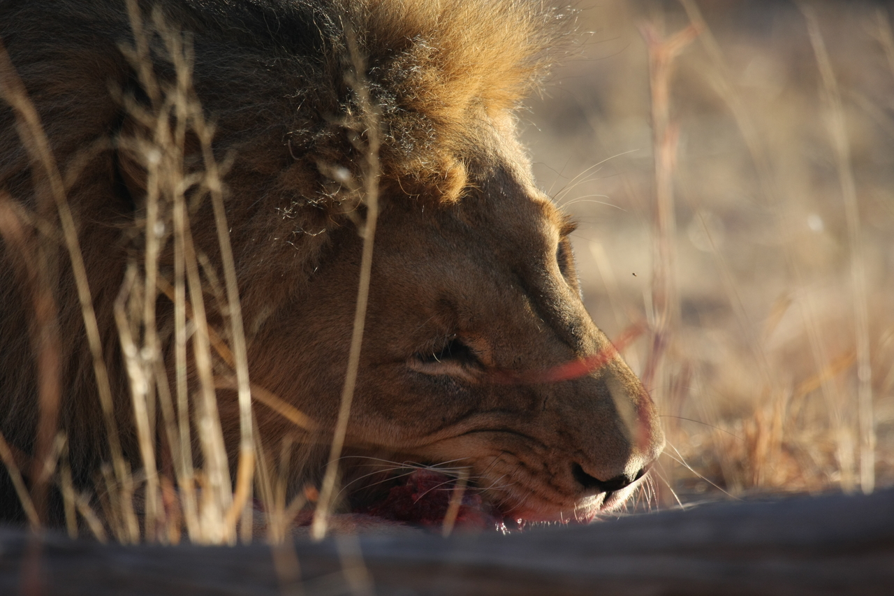 [7620] 2016_06_23_11_43_17_Africa_Canon_EOS_40D_IMG__00747.jpg