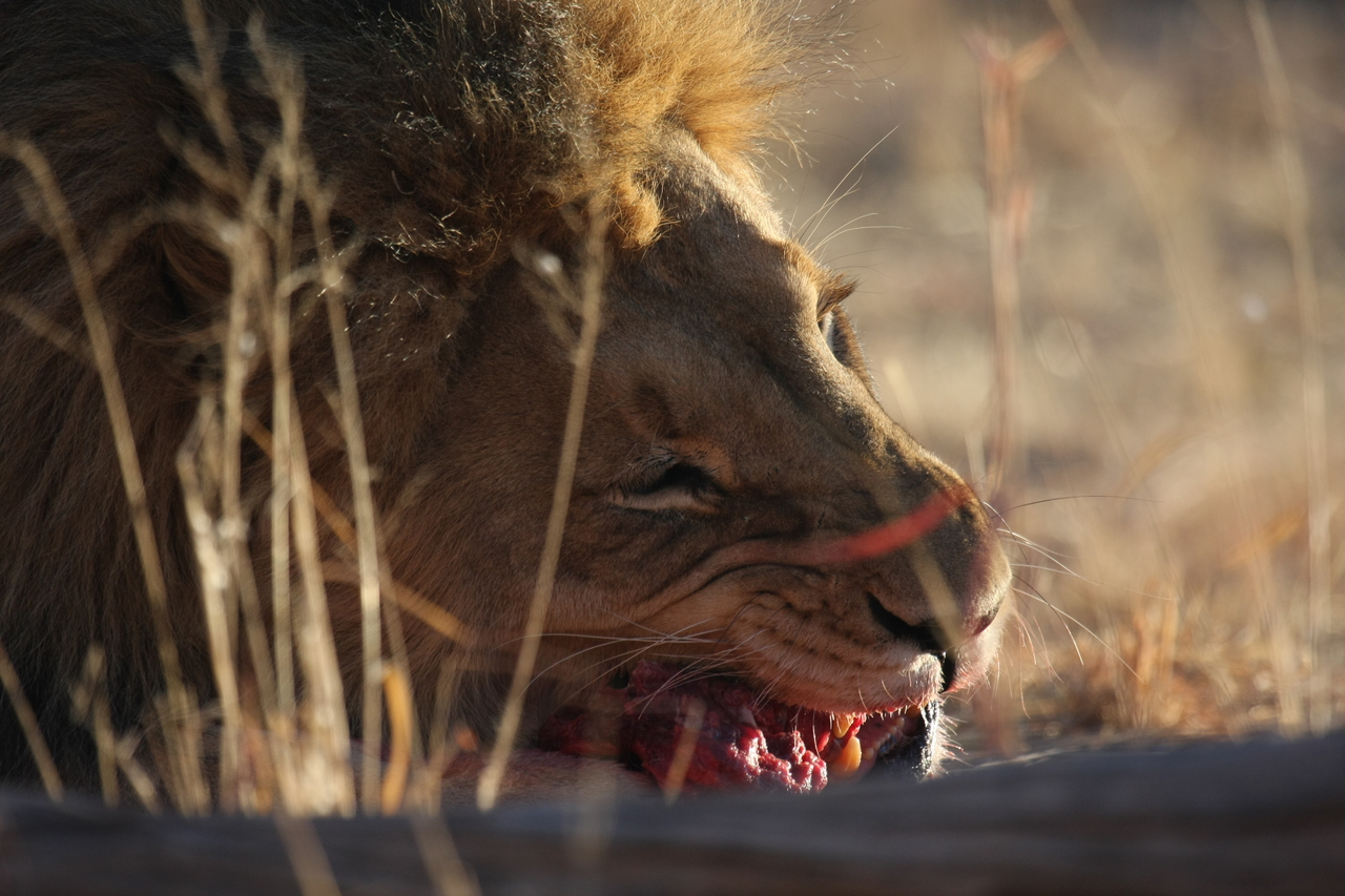 [7627] 2016_06_23_11_43_19_Africa_Canon_EOS_40D_IMG__00750.jpg