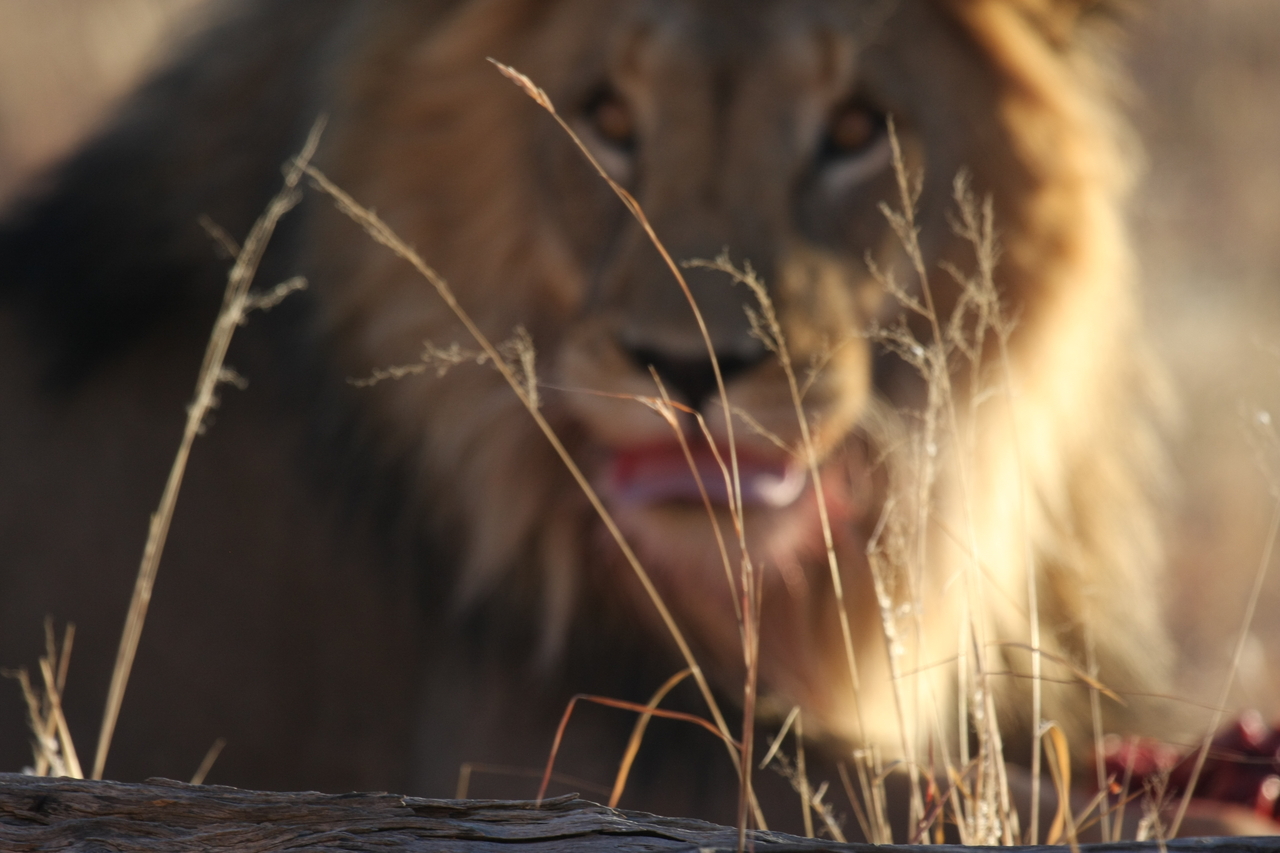 [7664] 2016_06_23_11_43_33_Africa_Canon_EOS_40D_IMG__01082.jpg