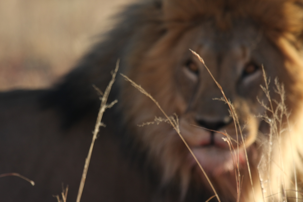 [7668] 2016_06_23_11_43_33_Africa_Canon_EOS_40D_IMG__09035.jpg