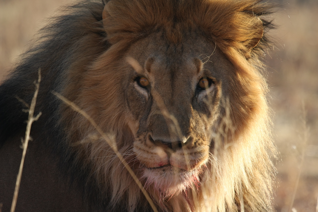 [7669] 2016_06_23_11_43_33_Africa_Canon_EOS_40D_IMG__09046.jpg