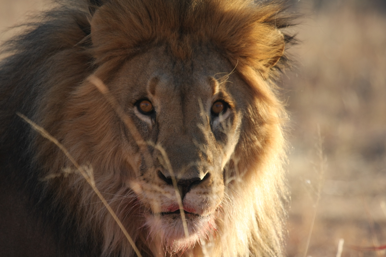 [7671] 2016_06_23_11_43_34_Africa_Canon_EOS_40D_IMG__00776.jpg