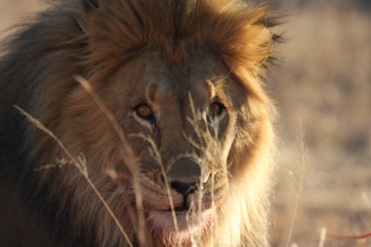 [7674] 2016_06_23_11_43_34_Africa_Canon_EOS_40D_IMG__01621.jpg