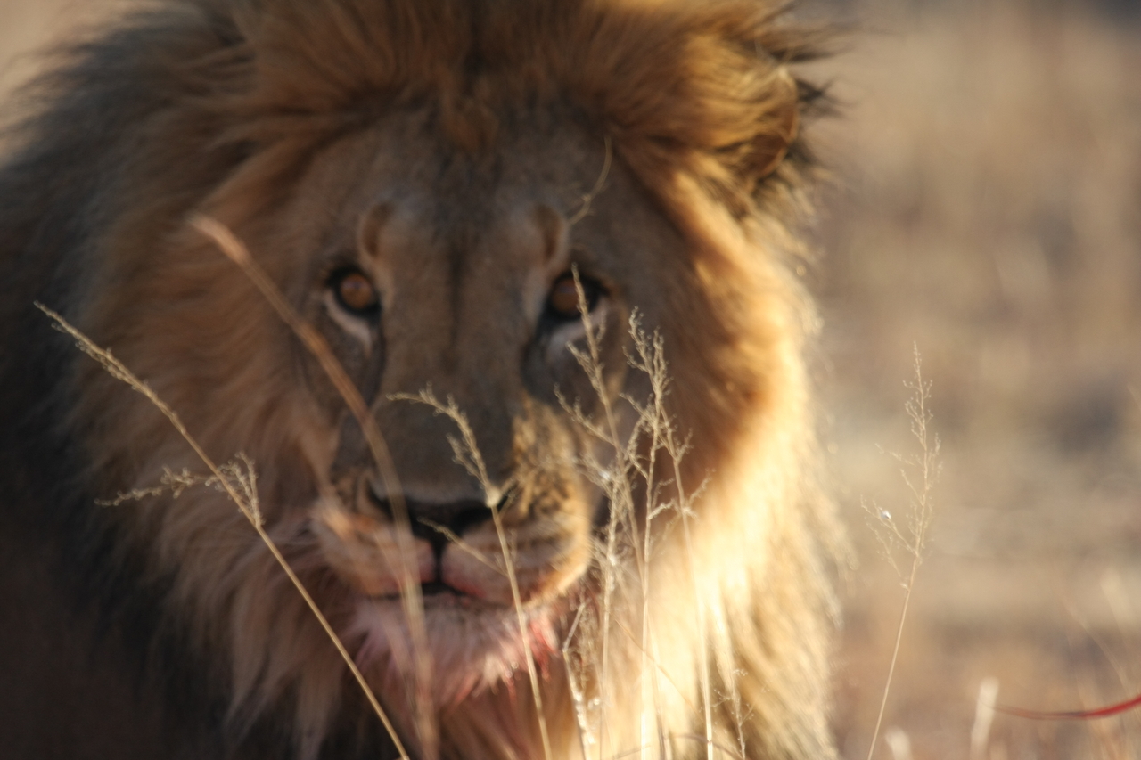 [7685] 2016_06_23_11_43_35_Africa_Canon_EOS_40D_IMG__09079.jpg