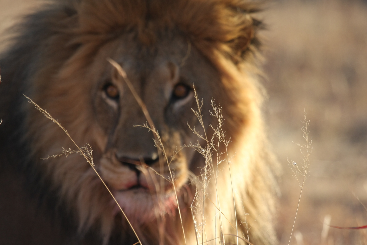 [7686] 2016_06_23_11_43_35_Africa_Canon_EOS_40D_IMG__09090.jpg