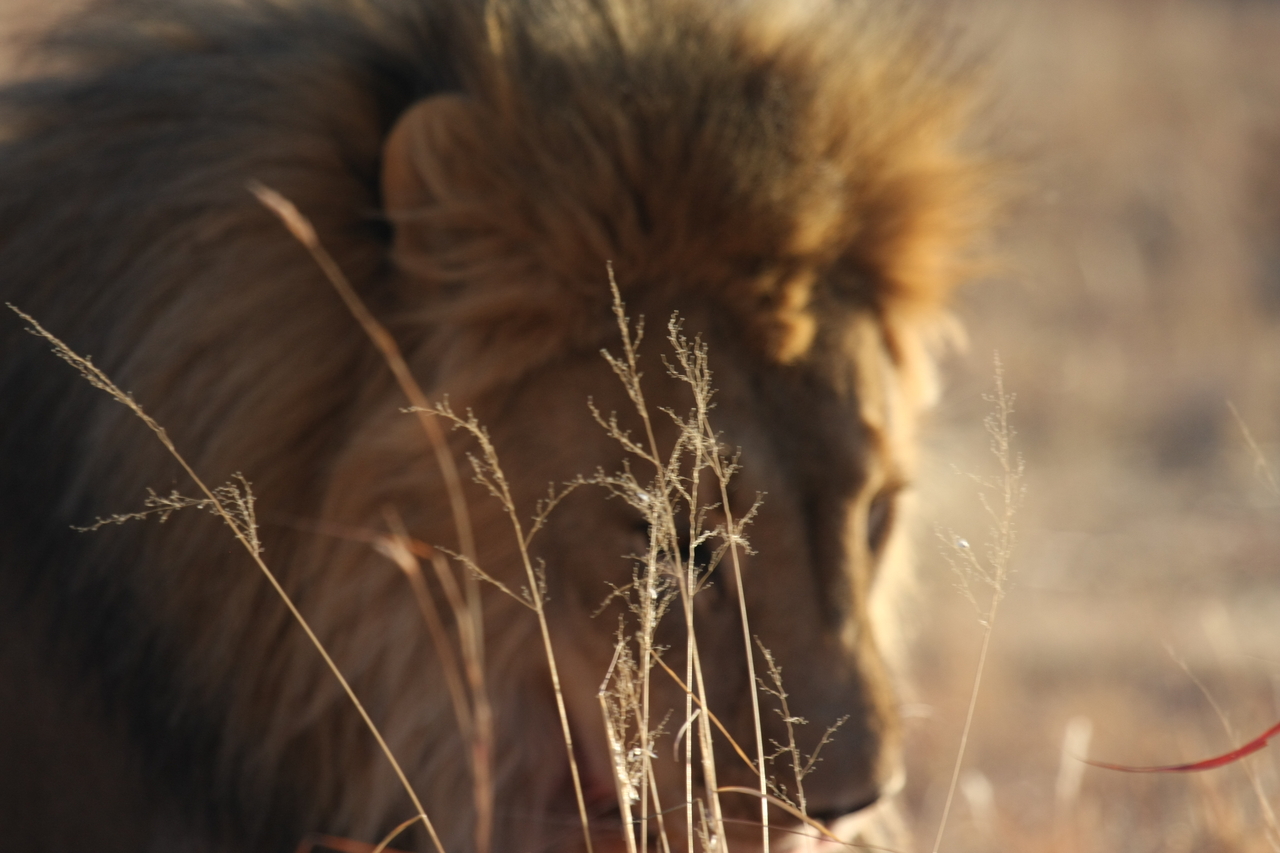 [7688] 2016_06_23_11_43_36_Africa_Canon_EOS_40D_IMG__00831.jpg