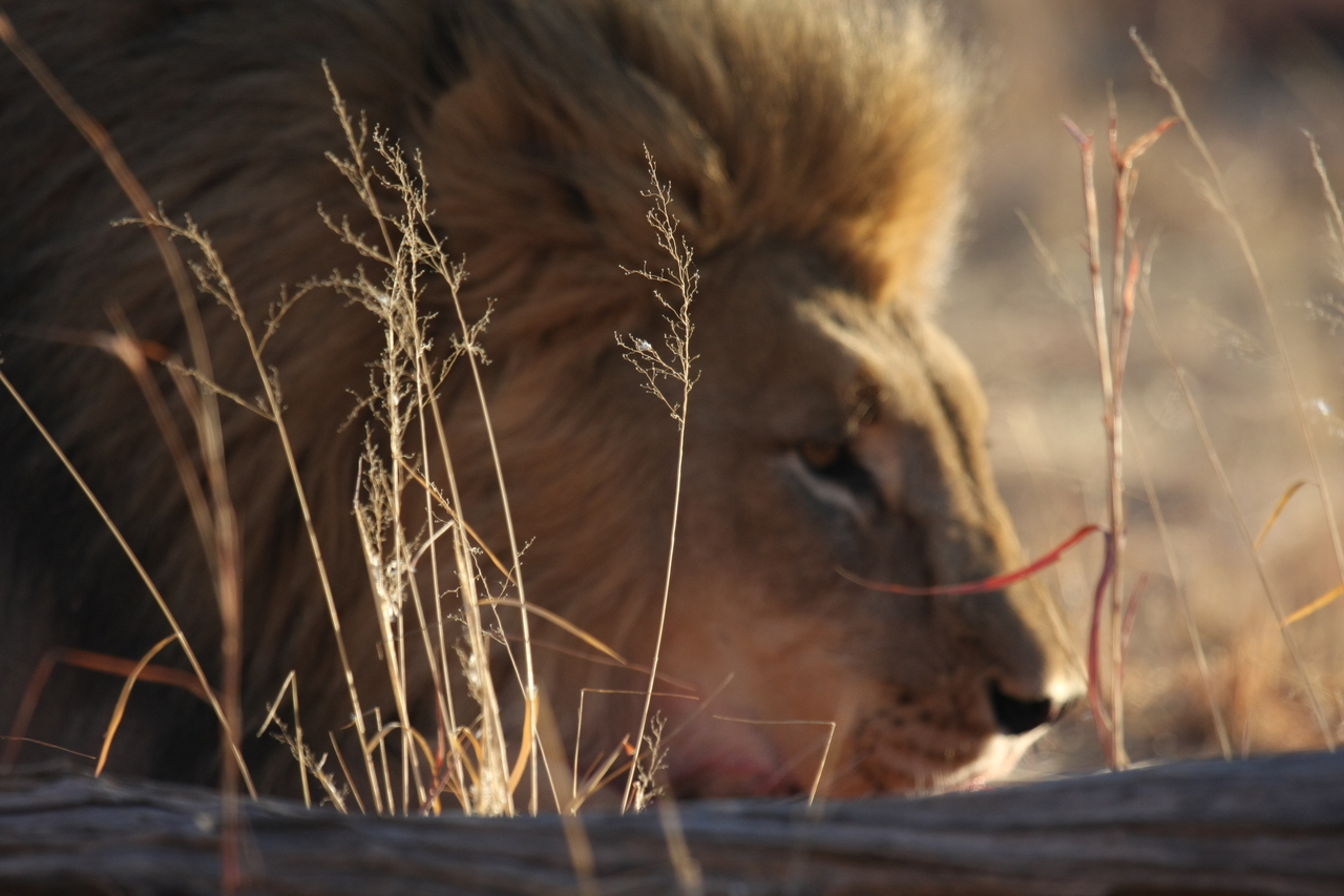 [7719] 2016_06_23_11_44_01_Africa_Canon_EOS_40D_IMG__09212.jpg