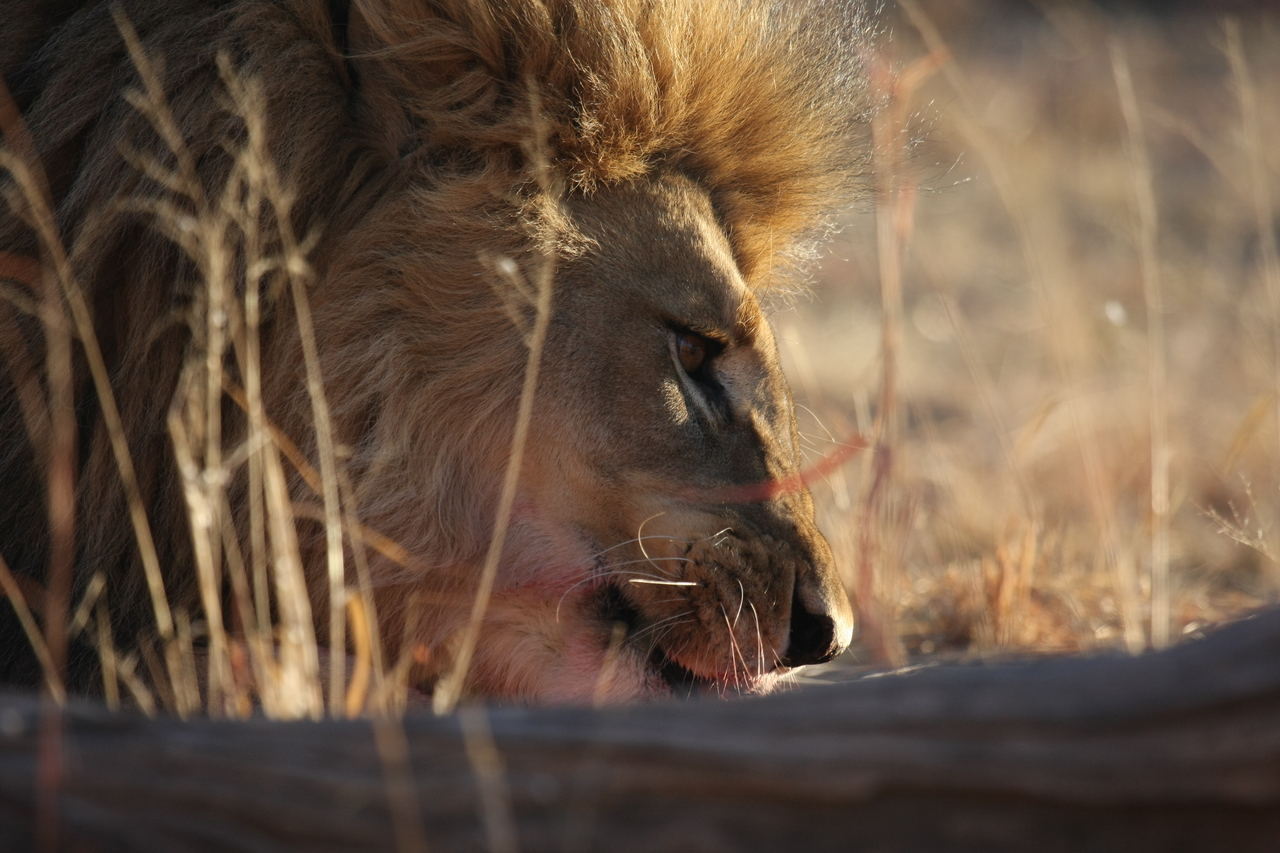 [7725] 2016_06_23_11_44_03_Africa_Canon_EOS_40D_IMG__01798.jpg