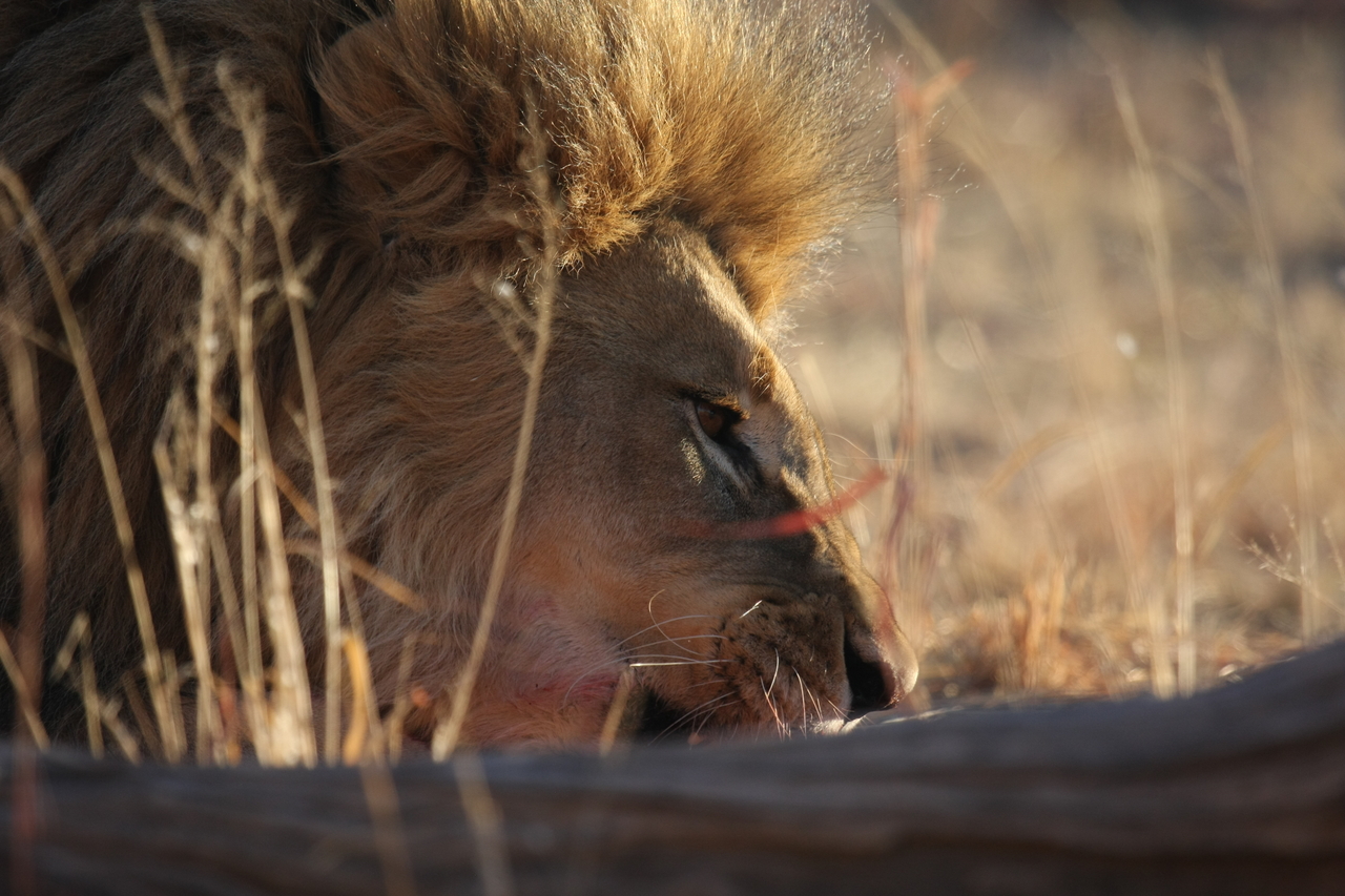 [7727] 2016_06_23_11_44_03_Africa_Canon_EOS_40D_IMG__09234.jpg